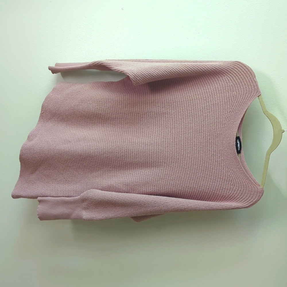 Link pink Express Sweater